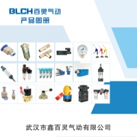 武漢百靈氣動(dòng)歡迎您！